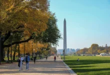 Flights to Washington DC