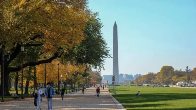 Flights to Washington DC